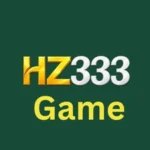 HZ333 Game